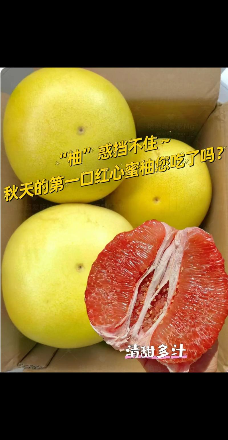 瑶埠蜜柚：甜蜜产业的风味传奇