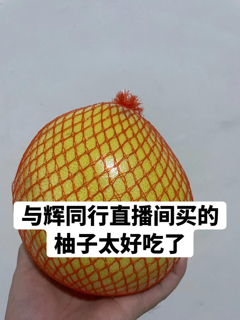 蜜柚苗供应