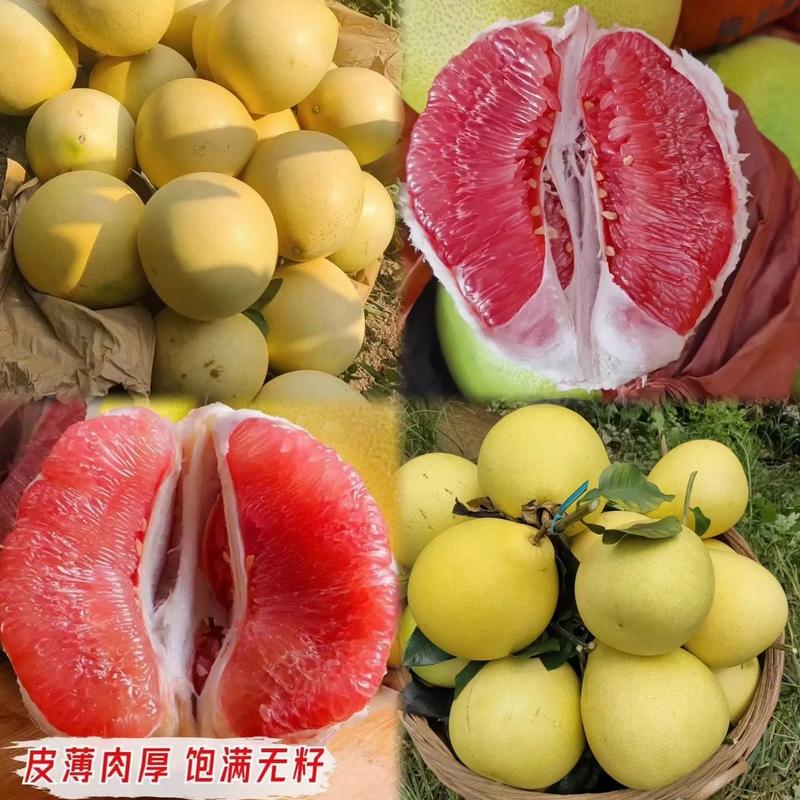 走进柚子种植基地：感受大自然的馈赠